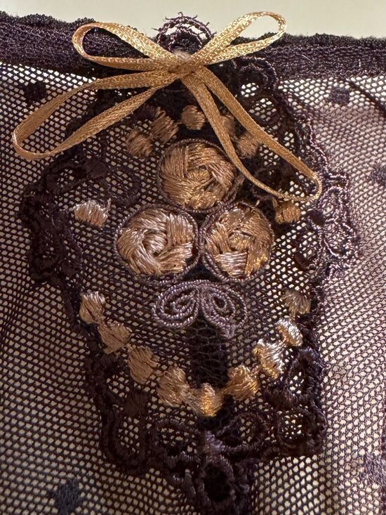 RARE Chantelle Paris Paris – Luxury Lace in Espresso & Gold--Exquisite Detailing - Picture 6 of 7